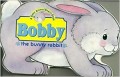 A Baby Animal Board Book : Bobby The Bunny Rabbit