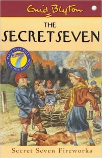 Image of Secret Seven, The 11: Secret Seven Fireworks