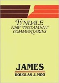 Letter Of James : An Introduction And Commentary, The